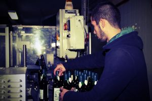viticultura-21